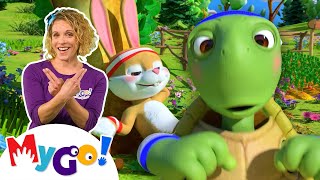 The Tortoise and the Hare  CoComelon Nursery Rhymes amp Kids Songs  MyGo Sign Language For Kids [upl. by Delastre945]