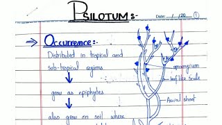 PSILOTUM General characters and Reproduction In hindiUrdu ADSBSCBS [upl. by Akihsay752]