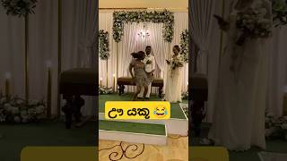 මනමාලයත් හොල්මන් ඒකට 😃😂 dance funnydance funnyshorts slmemereview funny trending weddingdance [upl. by Anaujat]