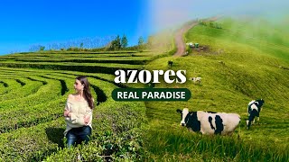 HOW TO TRAVEL AZORES in 2024  MustSee Places Sao Miguel Island [upl. by Lrig]