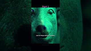 Last bite of food to the Rat Part1 trending movie sequel kindness story drama shorts [upl. by Amoihc]