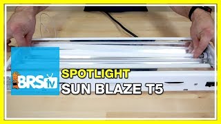 Spotlight on the Sun Blaze T5 fixture as a refugium light  BRStv [upl. by Kelson]