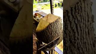 prepping a big sycamore blank for wet turning  woodturning [upl. by Gage]