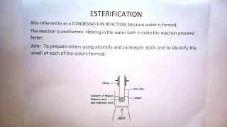 Esterification Theory for Practical Gr 12 [upl. by Anitsenre]