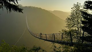 Geierlay Hängeseilbrücke 4K [upl. by Gough]