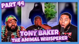 Tony Baker  The Animal Whisperer Part 44 Try Not To Laugh [upl. by Rus]