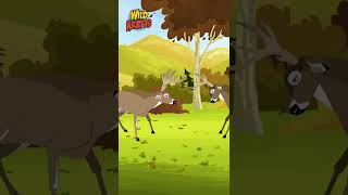 BUCK BATTLE  Wild Kratts  Kratt Brothers [upl. by Nonnad]