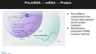 DH607 Fall 2024 Lecture 09  RNAseq Quantification [upl. by Myna45]