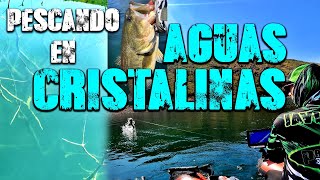 PESCANDO en un SITIO NUEVO con AGUAS CRISTALINAS [upl. by Jobi]