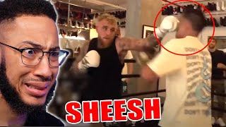 Famous Youtuber Challenges Jake Paul Instantly Regrets It [upl. by Ennasirk]