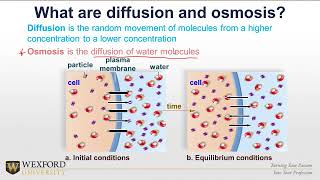 Characteristics of the Plasma Membrane Health Professional Education [upl. by Tlihcox]