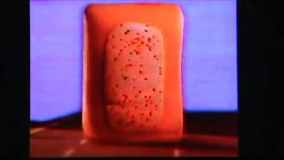 CMGUS VCR CLASSIC COMMERCIAL KELLOGGS BIG NEW POP TARTS MINIS SNACK THINK BIG 1995 [upl. by Llatsyrk]