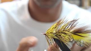 How to tie CATCHs Bug Eyed Bugger [upl. by Jule]