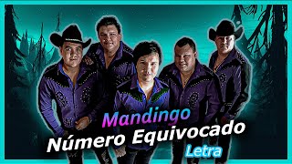 Número Equivocado Letra  Mandingo✨ [upl. by Janeen]