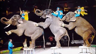 Shrine Circus 2024 in North Dakota USA 2 [upl. by Ema225]