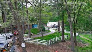 Goldys Yard Goats leave with Mike Uncle Bud leaves cabin n leaves 513pm 5192024 [upl. by Dinah]