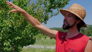 CASDAR SMART  Visite du vergermaraîcher de la ferme Brin de Terre [upl. by Ahtilat440]