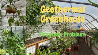 Greenhouse update Progress amp Problems [upl. by Samoht]