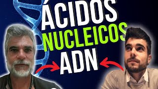 ÁCIDOS NUCLEICOS el ADN [upl. by Wittenburg713]