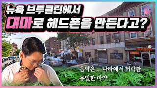 뉴욕 브루클린에서 대마로 만든 헤드폰 Grado Hemp는 마약인가 드럭아는 사람 클릭 [upl. by Clerk818]