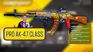 XDefiant Pro AK47 Class BEST BUILD [upl. by Arimat]