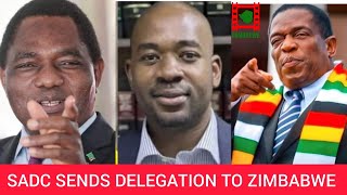 WATCH LIVE SADC sends delegation to Zimbabwe to deal with Mnangagwa [upl. by Haididej]