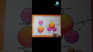 How to drawing Water Molecule Diagram drawing sciencediagram molecule diagram shorts [upl. by Colinson]