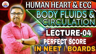 HUMAN HEART amp ECG  Body Fluids amp Circulation class 11  NEET 2025  Ujjal sir class  GURUKUL [upl. by Vashtee8]