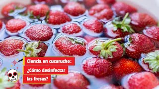 Ciencia en cucurucho ¿Cómo desinfectar las fresas [upl. by Ummersen]