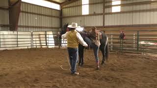 Colt Start Clinic  Deer Park Day 2 [upl. by Eenor]