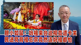 胆小如鼠！谢志传：妈祖来台巡视竟遭卡关，民进党背祖忘宗竟然连妈祖都怕 [upl. by Dallon]