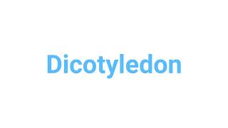 How to Pronounce dicotyledon dicotyledon english words [upl. by Ely]