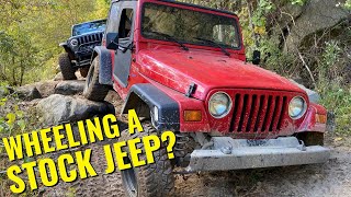 Can a Stock Jeep keep up with Built Jeeps on 42s At Southington Offroad Park [upl. by Erdnaet]