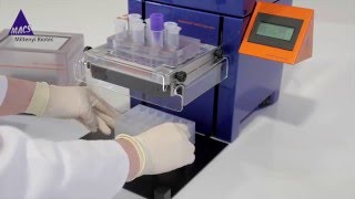 How to Isolate Pure Microglia  Video Protocol [upl. by Akcimehs98]