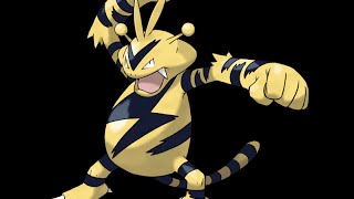 Eviolite Candidate Electabuzz [upl. by Eenyaj]