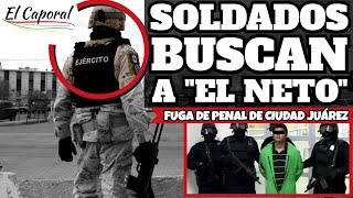 🚔 CIENTOS DE SOLDADOS BUSCAN A quotEL NETOquot Uno De Los 30 Mexicles Fugados De Cereso De Cd Juárez [upl. by Imray]