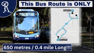 The 342 to Daceyville  Australias shortest bus route [upl. by Akcirred]