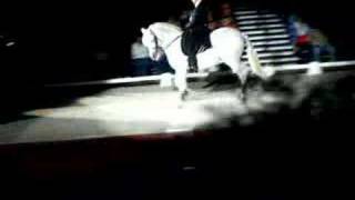 Andalusian Stallion Jazz Dance [upl. by Anawak]