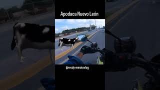 Apodaca lo mejor observacionesdiarias motos motovlog mty virales [upl. by Ainesey]