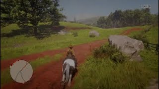 Indian Tobacco 5  Location  Rhodes  RDR2 [upl. by Sethi454]