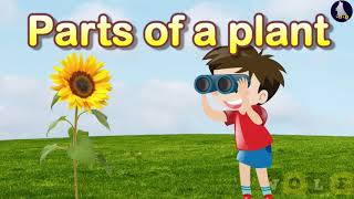 Parts of a Plant  Science for kids EVS [upl. by Pinzler62]