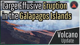 Galapagos Volcano Update New Large Eruption at Fernandina [upl. by Dianemarie]