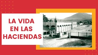 La VIDA en las HACIENDAS  Historia 5º Grado [upl. by Lednew264]