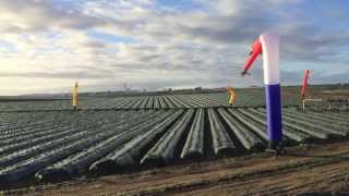 AirRanger® in Berry Field [upl. by Bernardi]