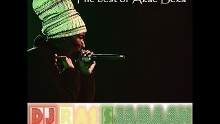 The best of Akae Beka Vaughn Benjamin Midnite by DJ Ras Sjamaan [upl. by Elstan485]