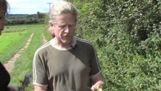 Growing Green with Iain Tolhurst [upl. by Enimasaj]