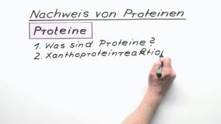 Nachweis von Proteinen  Chemie  Organische Chemie [upl. by Leirbma]