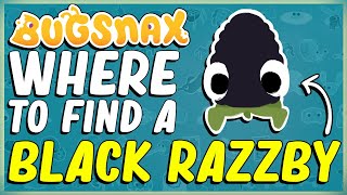 WHERE TO FIND AND HOW TO CATCH A BLACK RAZZBY IN BUGSNAX  SIZZLIN SANDS  BUGAPEDIA [upl. by Conger]