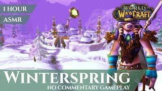 Vanilla Winterspring  Gameplay No Commentary ASMR 1 hour 4K World of Warcraft Wow Classic [upl. by Nahsar]