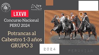 Potrancas al Cabestro 13 anos Grupo 3 LXXVII CONCURSO NACIONAL PERU 2024 [upl. by Haduhey]